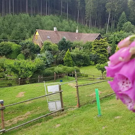 Podkrovni Pokojik